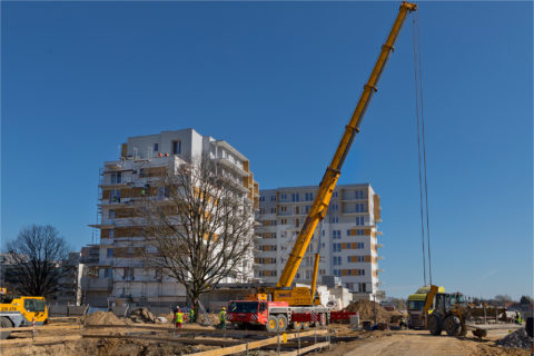 przesadzanie dębu na osiedlu Comfort City Rubin_Barc Warszawa_Tarchomin_Białołęka
