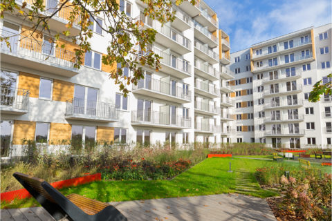 leżaki na patio Comfort City 