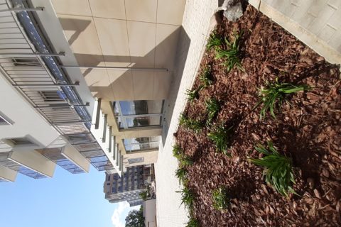 lokale usługowe Comfort City Bursztyn czerwiec 2020