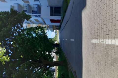 droga dojazdowa Comfort City Białołęka czerwiec 2020