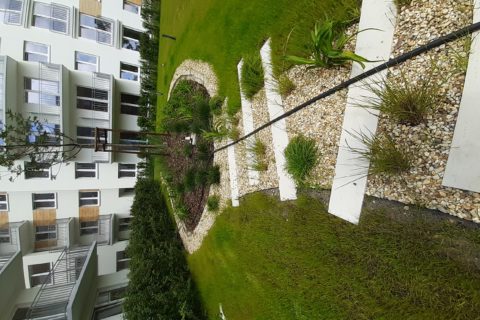 patio Comfort City Bursztyn czerwiec 2020