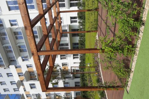pergola obsadzona roślinami Comfort City Bursztyn czerwiec 2020