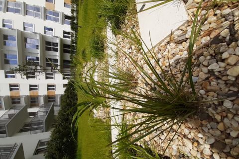 suchy strumień na patio Comfort City Bursztyn czerwiec 2020