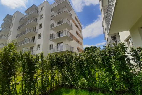 widok z jednego z ogródków Comfort City Bursztyn czerwiec 2020