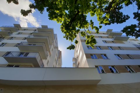 widok spod dęba;-) na budynek Comfort City Bursztyn czerwiec 2020