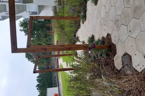 pierwsze nasadzenia roślin na patio Comfort City Ametyst wrzesień 2020