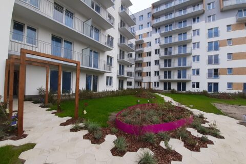 pierwsze nasadzenia roślin na patio Comfort City Ametyst wrzesień 2020