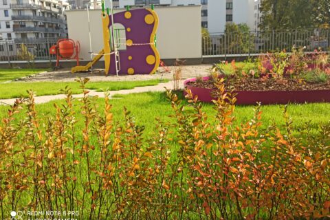 widok z ogródka na patio Comfort City Ametyst październik 2020