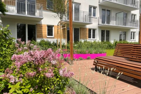 Comfort City Ametyst zielone patio maj 2021