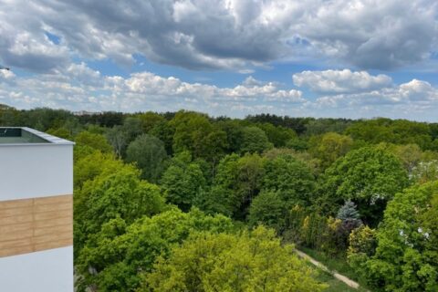 Comfort City Ametyst widok z balkonu, maj 2021