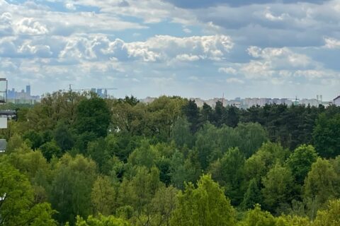 Comfort City Ametyst widok z balkonu, maj 2021