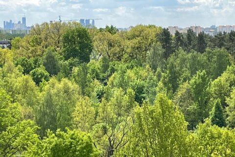 Comfort City Ametyst widok z balkonu, maj 2021