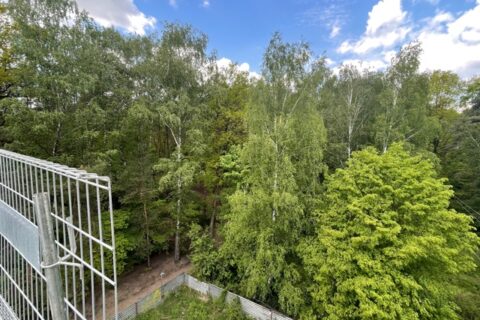 Comfort City Perła widok na park leśny maj 2021