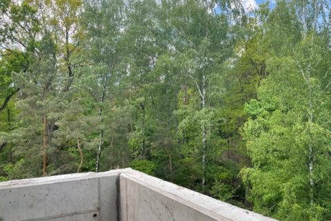 Comfort City Perła widok na park z budynku maj 2021