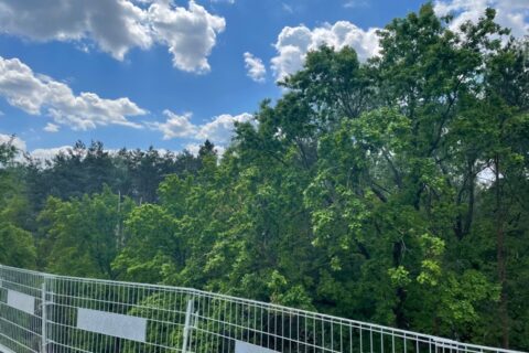 Comfort City Perła widok z balkonów na park leśny maj 2021