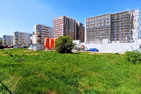 Comfort City Agat oraz Rubin, Bursztyn, Ametyst, Perła i park leśny maj 2023 